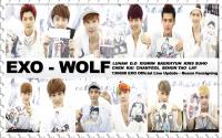 EXO - WOLF