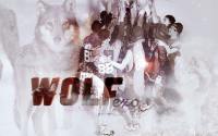 EXO : WOLF 88