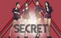 SECRET :: wallpaper