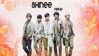 SHINee Fire :: wallpaper