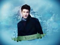 Super Junior no.10 - Siwon