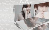 SeoKyu T'ple Couple song