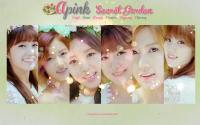 APINK::SECRET GARDEN