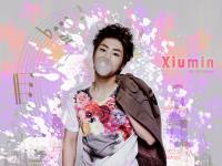 XIUMIN !!!