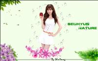 Seohyun Nature