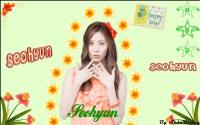 » Seohyun Birthday Nature «