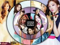 My First SNSD Disc Wall