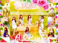 A-pink:Secret Garden:Album_NOno