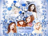 Hello Venus