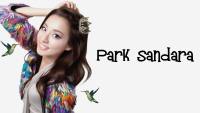 Dara 2ne1 :: wallpaper