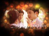 hormones วัยว้าวุ่น - ธีร์ภู