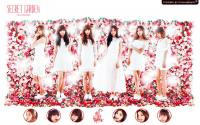 Apink ::Secret Garden::