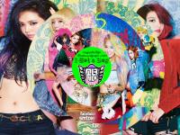 Disc Wall SNSD - I Got A Boy♥~