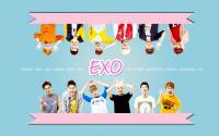 Exo Cute