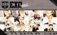 EXO :: XOXO [KISS & HUG]