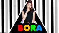 .: BoRa :.