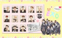 Exo Cute 2nd Ver