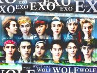 EXO:Wolf:Photo ver teaser