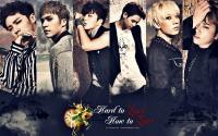 Beast Hard to Love, How to Love