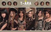 T-ara:Treasure box