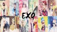 EXO Growl teaser