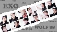 EXO Wolf 88