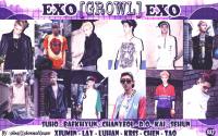 ::EXO GROWL TEASER 2nd::