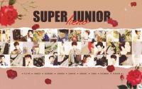 SUPER JUNIOR :: HERO