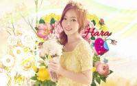 Hara - Kara