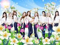 SNSD For Samantha Thasava