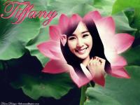 Tiffany SNSD in Flower