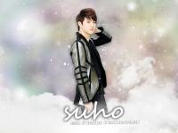 EXO-K,, Suho ...