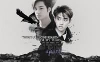 KAISOO : further apart