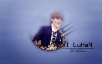 Xi Luhan :: push up love up