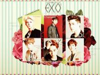 :EXO-K IVY Club Magazine: