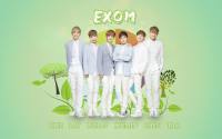 Exom Nature Republic