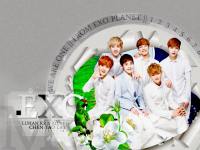 EXO M : Nature Republic 2013