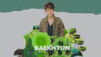 ••GREEN VERSION_BAEKHYUN••