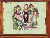 T-ara Beautiful Queen's