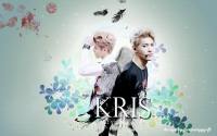 { exo } ' Kris darkzone