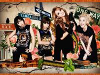 2NE1 Beautiful Girl's