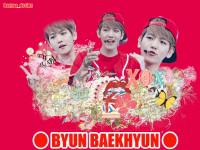 ~ [ Byun Baekhyun ] ~ Redwall