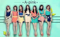 :: Apink ::