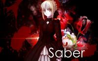 ::SaberAlter : Dark Blood: