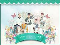 Shinee - Everybody