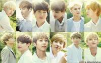 .::EXO Nature Republic::.