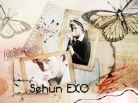 SEHUN EXO