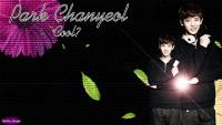 EXO Chanyeol - Park Chanyeol -PSD-