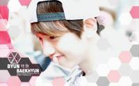 EXO:BYUN BAEKHYUN