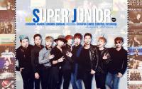 SUPER JUNIOR :: SUPER SHOW 5